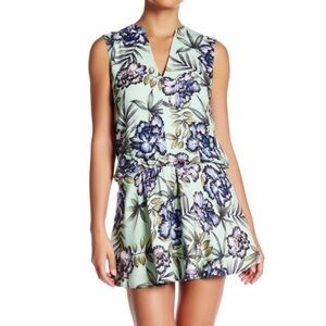 Alice + Olivia Size 2 Brook Sleeveless Drop Waist Flared Dress.